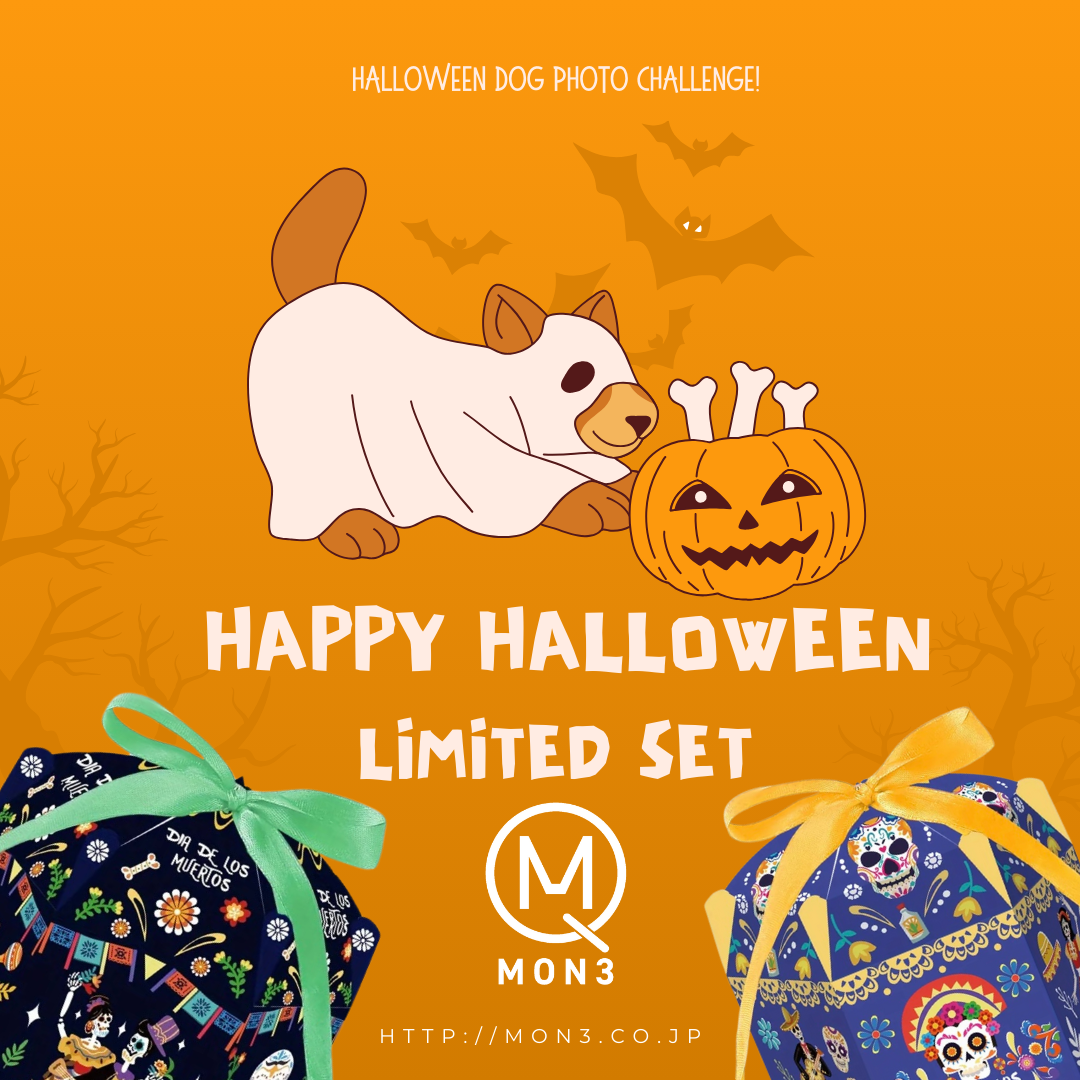 ハロウィンセット(100個限定予約販売) 10月20まで