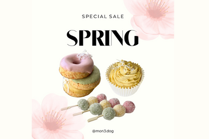 １００個限定スペシャルセール (3月16日まで注文可能)