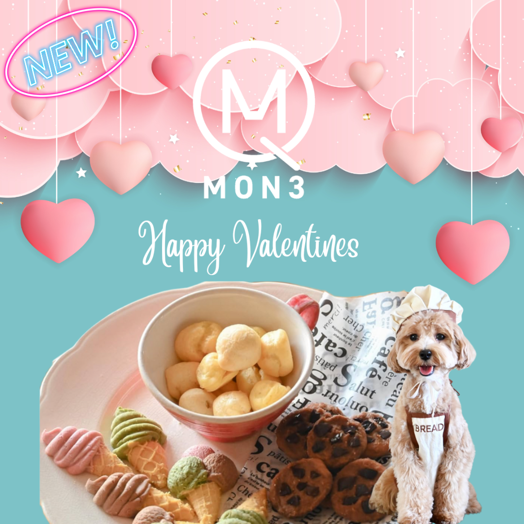 バレンタイン用クッキーセット　(2月13日まで注文可能)